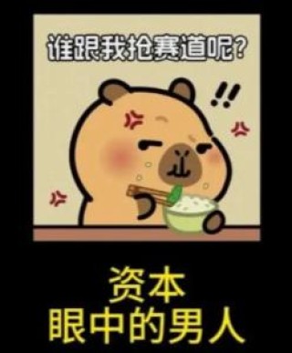 你知道为什么资本不收割男人嘛