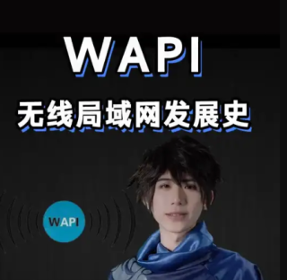苹果手机里的启用WAPI是什么功能？