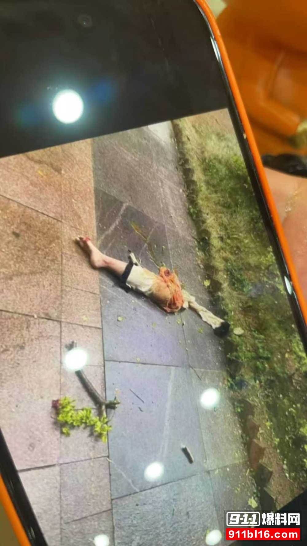 女子出轨被丈夫发现 丈夫一气之下把她谋杀肢解后抛尸楼下 聊天记录曝光